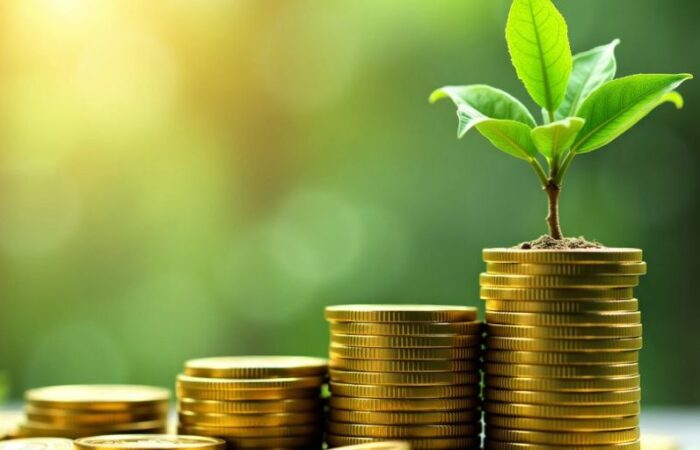 Tree growing from coins, symbolizing business growth.